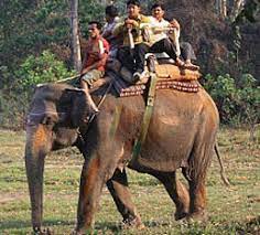 tala village bandhavgarh